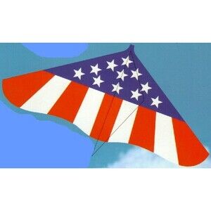 Spirit of America Kite Gayla Delta 42-Inch Made in USA Discontinued